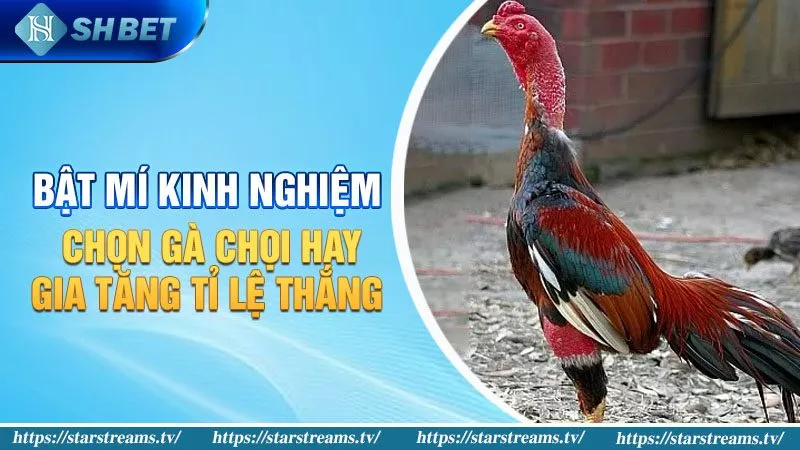 Hình minh họa hướng dẫn 85Win